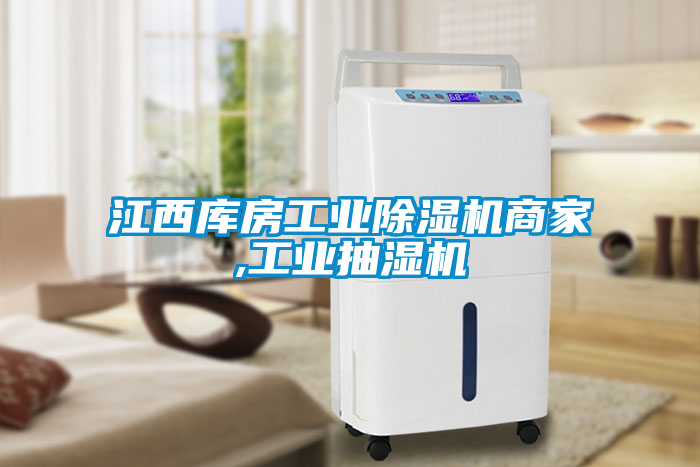 江西庫房工業(yè)除濕機商家,工業(yè)抽濕機