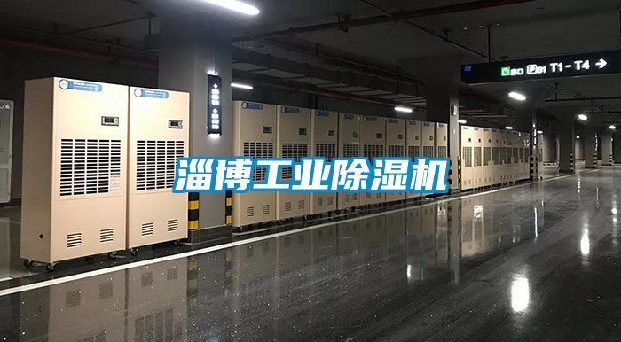 淄博工業(yè)除濕機