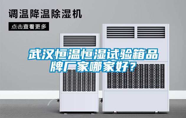 武漢恒溫恒濕試驗箱品牌廠家哪家好?