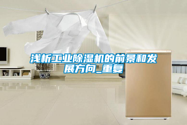 淺析工業除濕機的前景和發展方向_重復
