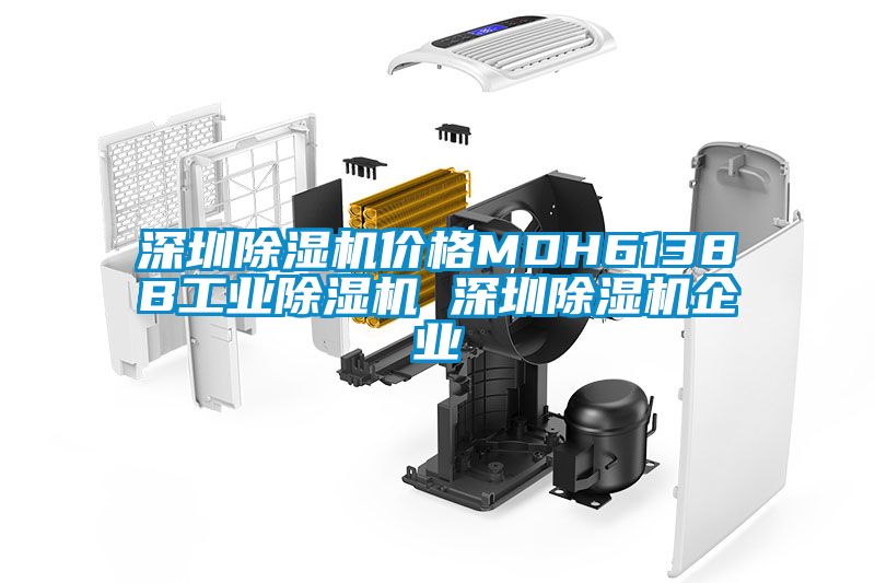 深圳除濕機(jī)價(jià)格MDH6138B工業(yè)除濕機(jī) 深圳除濕機(jī)企業(yè)