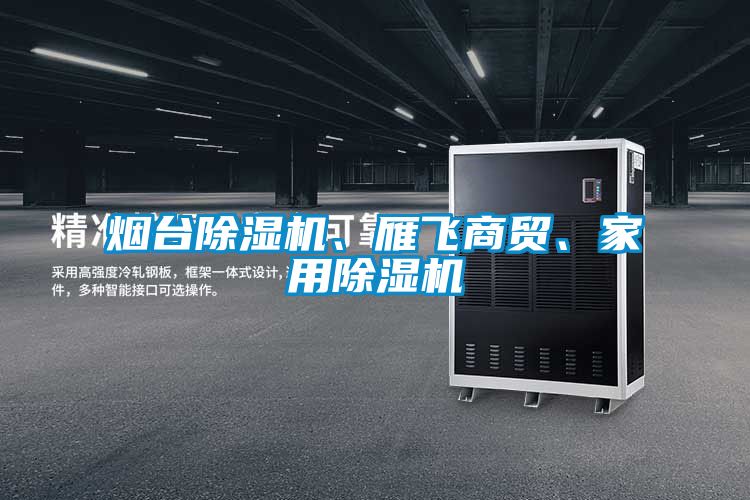 煙臺除濕機、雁飛商貿(mào)、家用除濕機