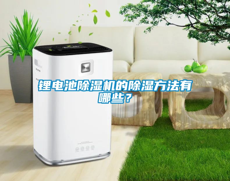 鋰電池除濕機的除濕方法有哪些?
