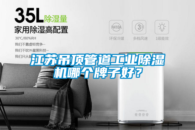 江蘇吊頂管道工業除濕機哪個牌子好？