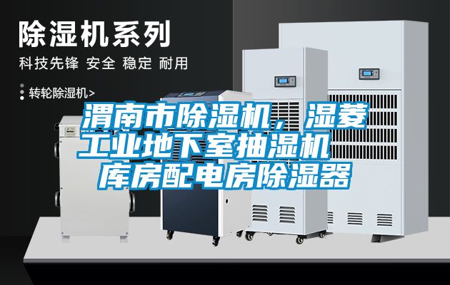 渭南市除濕機，濕菱工業地下室抽濕機  庫房配電房除濕器