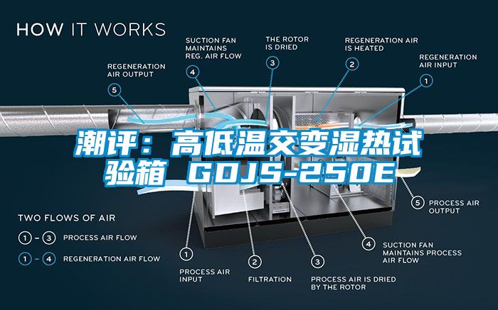 潮評(píng):高低溫交變濕熱試驗(yàn)箱 GDJS-250E