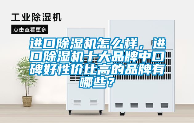 進口除濕機怎么樣，進口除濕機十大品牌中口碑好性價比高的品牌有哪些？