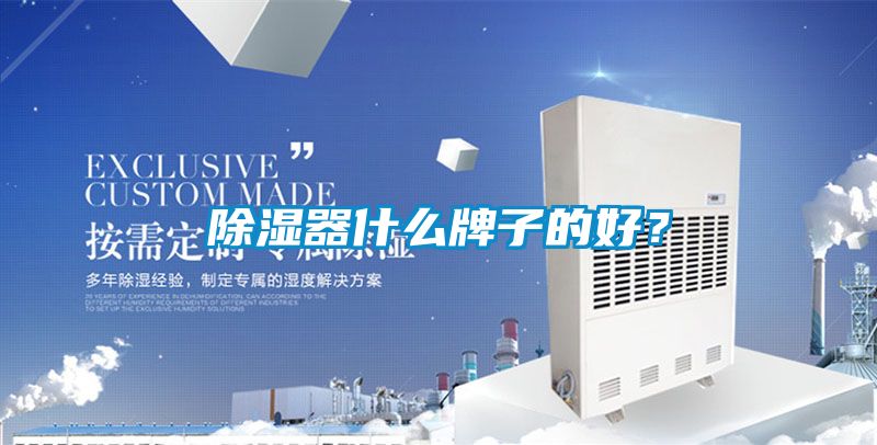 除濕器什么牌子的好？