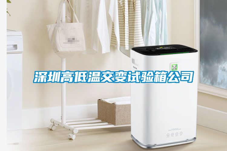 深圳高低溫交變試驗(yàn)箱公司