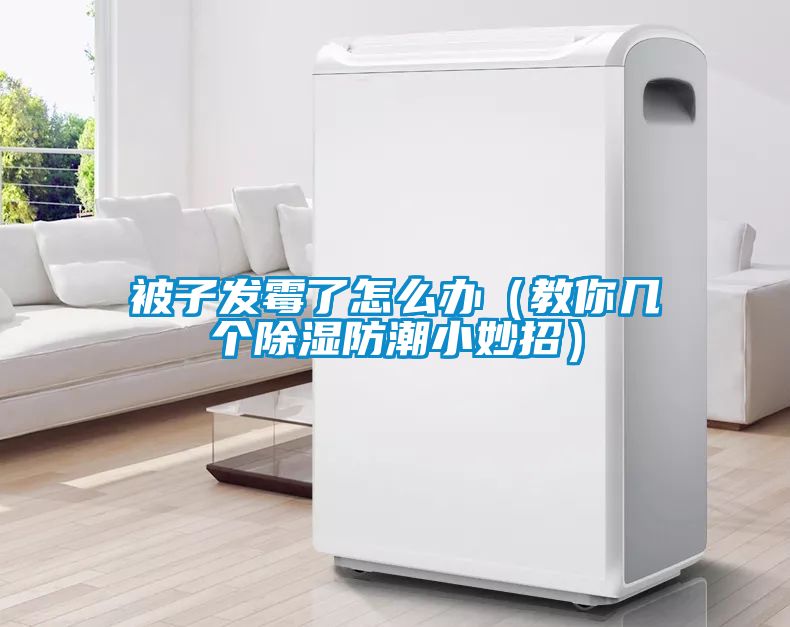 被子發霉了怎么辦(教你幾個除濕防潮小妙招)