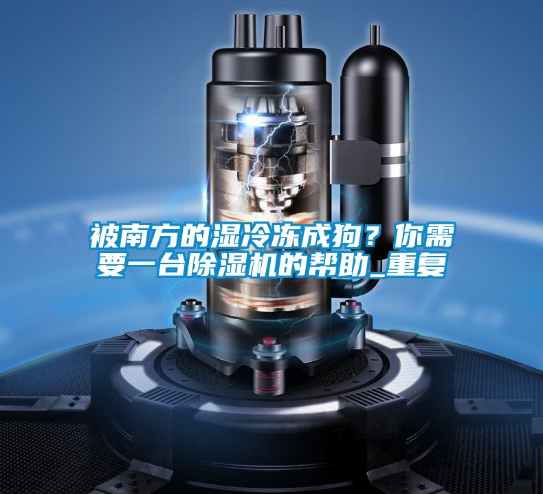 被南方的濕冷凍成狗?你需要一臺除濕機(jī)的幫助_重復(fù)