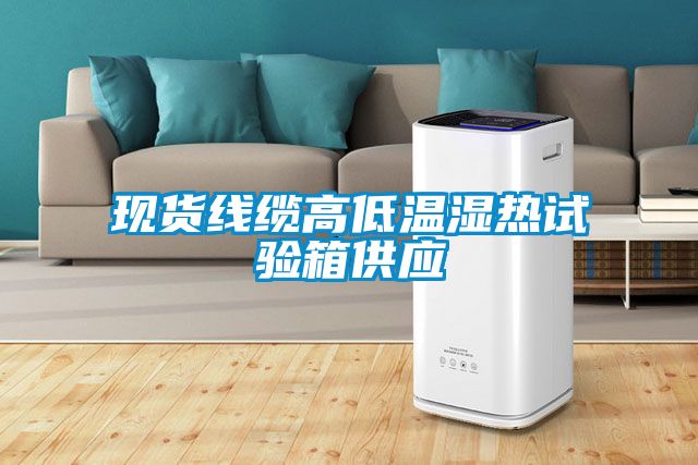 現(xiàn)貨線纜高低溫濕熱試驗箱供應