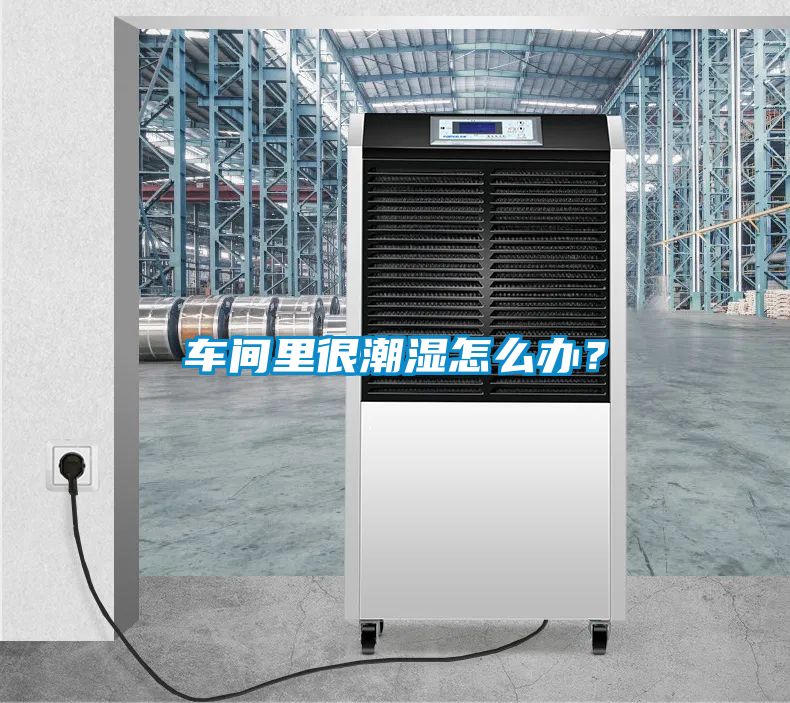 車間里很潮濕怎么辦?