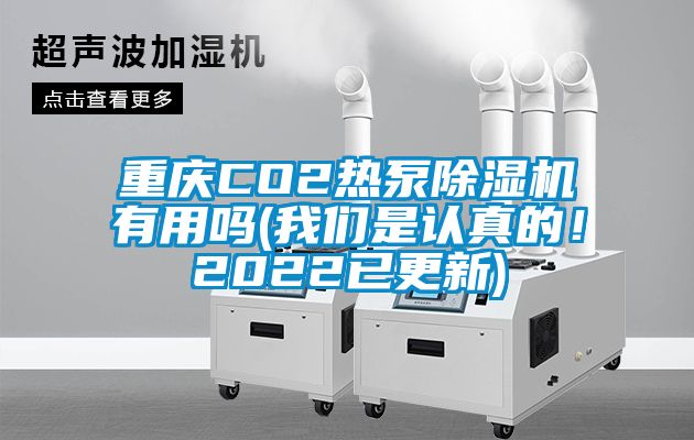 重慶CO2熱泵除濕機有用嗎(我們是認真的！2022已更新)