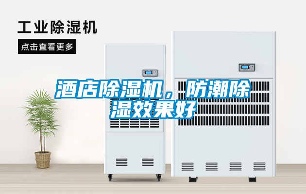 酒店除濕機,防潮除濕效果好