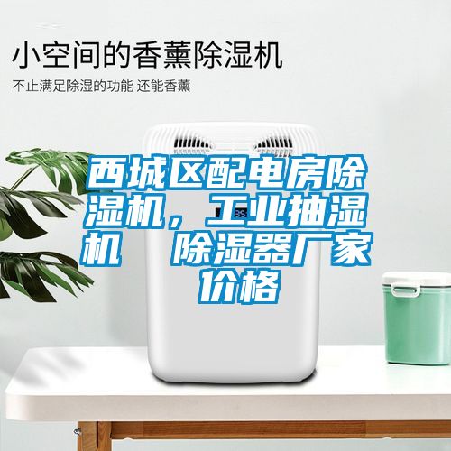 西城區(qū)配電房除濕機，工業(yè)抽濕機  除濕器廠家 價格