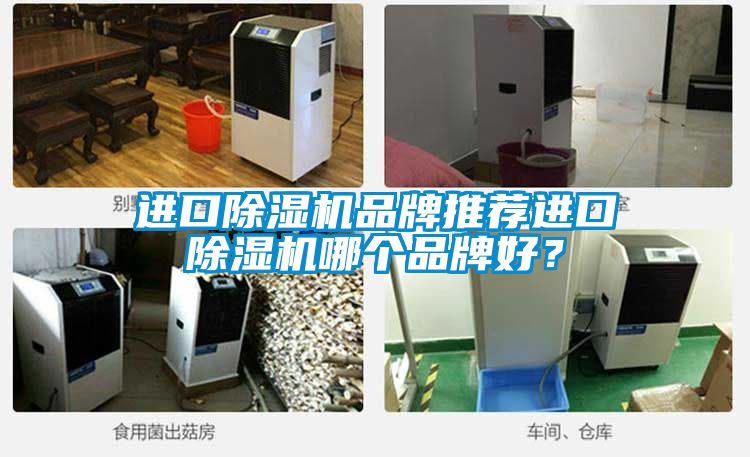 進(jìn)口除濕機(jī)品牌推薦進(jìn)口除濕機(jī)哪個(gè)品牌好？