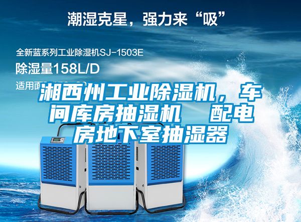 湘西州工業(yè)除濕機(jī),車(chē)間庫(kù)房抽濕機(jī) 配電房地下室抽濕器