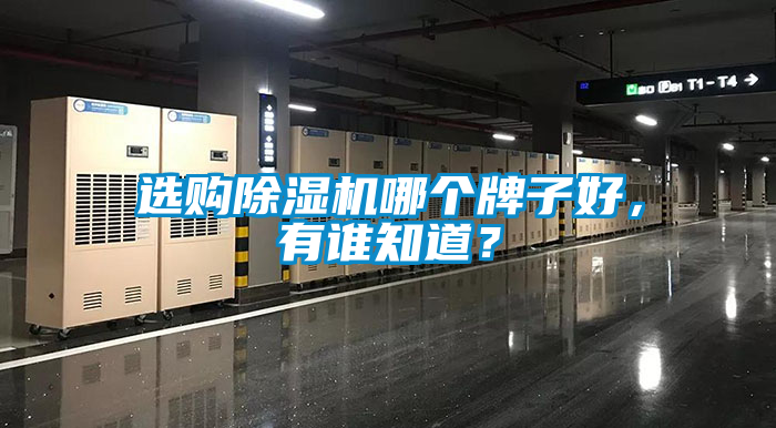 選購(gòu)除濕機(jī)哪個(gè)牌子好，有誰(shuí)知道？