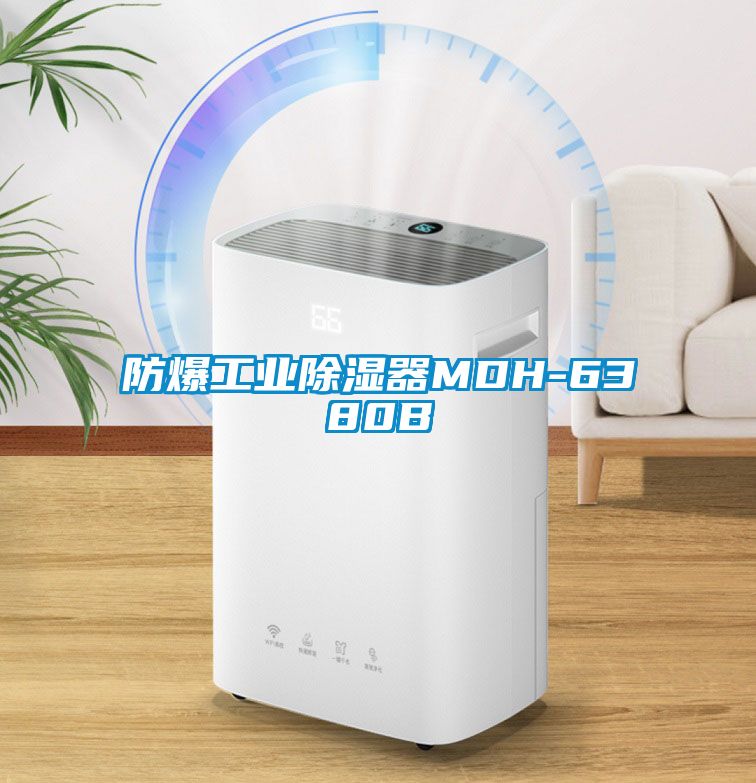 防爆工業除濕器MDH-6380B