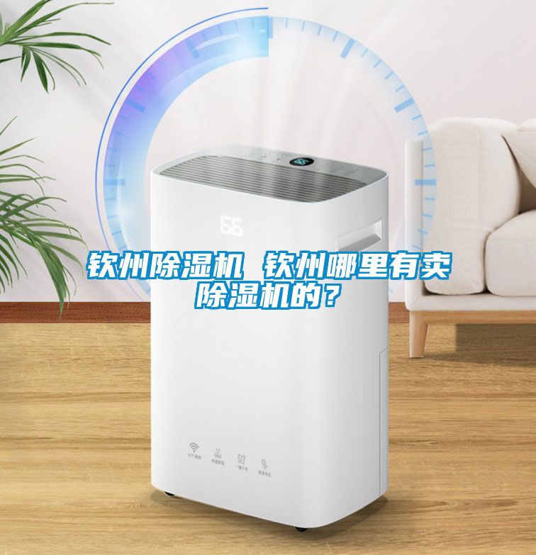 欽州除濕機 欽州哪里有賣除濕機的？