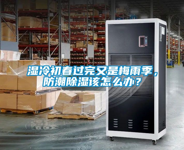 濕冷初春過完又是梅雨季,防潮除濕該怎么辦?