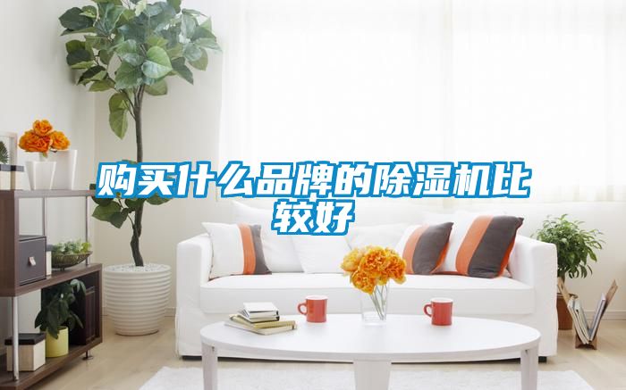 購(gòu)買(mǎi)什么品牌的除濕機(jī)比較好