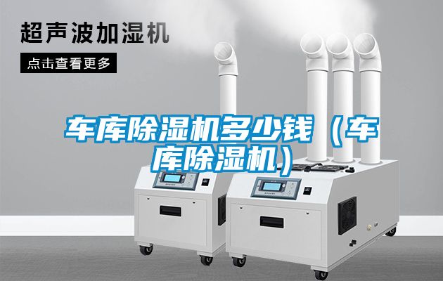 車庫除濕機多少錢(車庫除濕機)