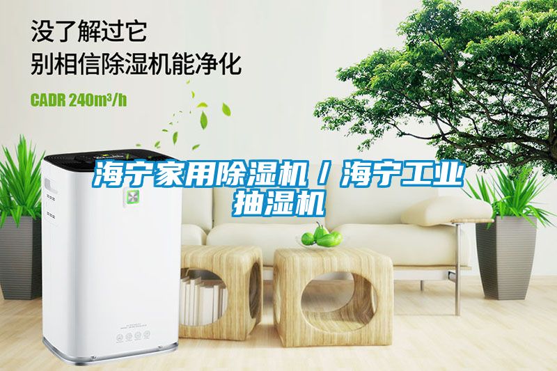 海寧家用除濕機/海寧工業抽濕機