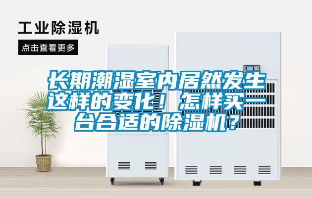 長期潮濕室內居然發生這樣的變化!怎樣買一臺合適的除濕機?