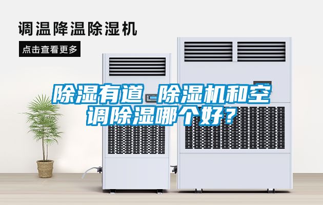 除濕有道 除濕機和空調除濕哪個好?